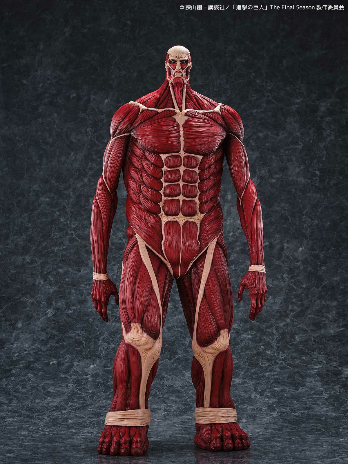 Colossus Titan Colossal MEGA SOF VI Titan Figure Attack on Titan KAIYODO