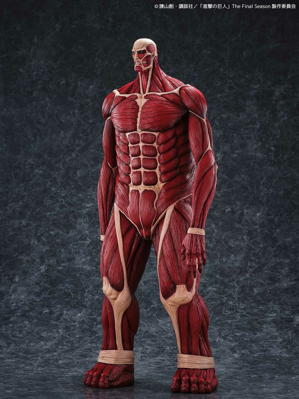 Colossus Titan Colossal MEGA SOF VI Titan Figure Attack on Titan KAIYODO