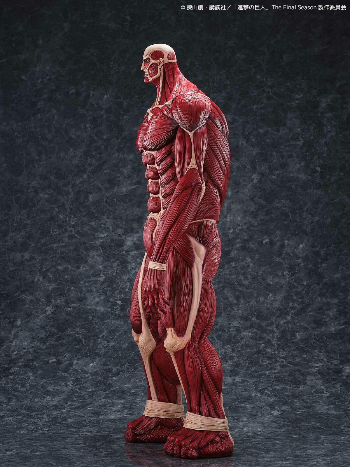 Colossus Titan Colossal MEGA SOF VI Titan Figure Attack on Titan KAIYODO