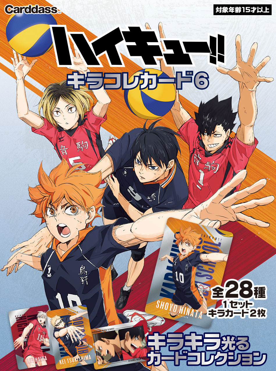 HAIKYU!! Kira Cole Card Vol.6 carddass BANDAI