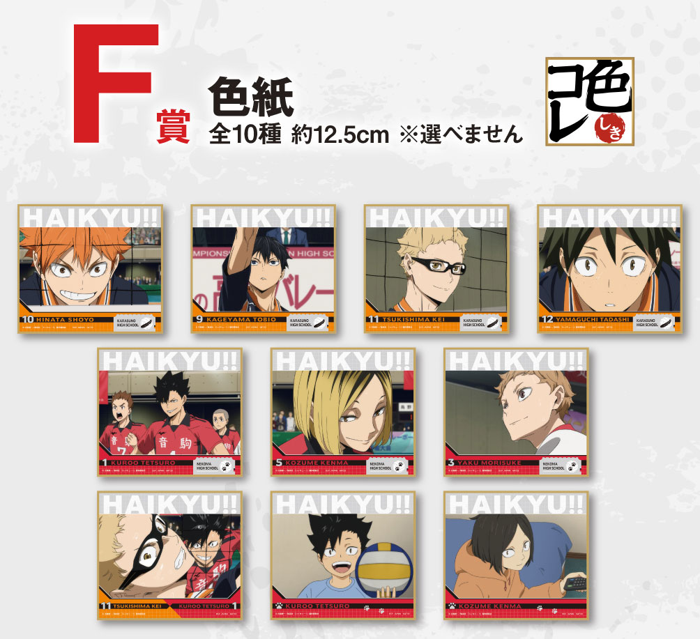 Ichiban KUJI The Movie HAIKYU!! The Dumpster Battle 2 BANDAI