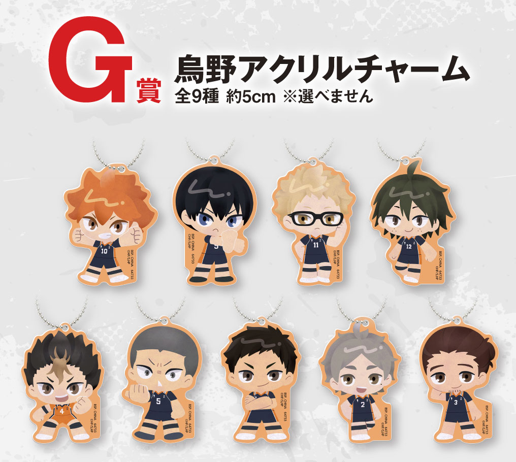 Ichiban KUJI The Movie HAIKYU!! The Dumpster Battle 2 BANDAI