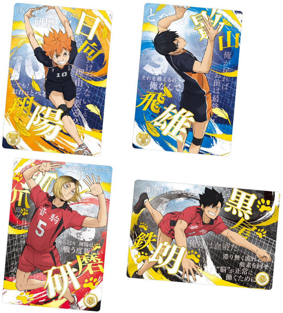 HAIKYU!! Wafer Metallic Plastic Card Vol.6 Candy Toy BANDAI
