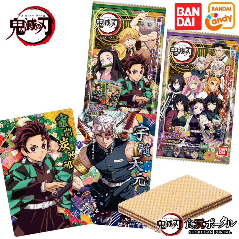 Wafer Card Vol.5 Demon Slayer Kimetsu no Yaiba Uzui Kyojuro Rengoku Muichiro Tokito Mitsuri Kanroji Candy Toy BANDAI