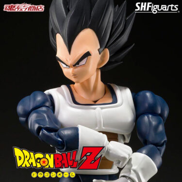 Vegeta The Basic Armor Ver. DRAGONBALL Z S.H.Figuarts Figure BANDAI