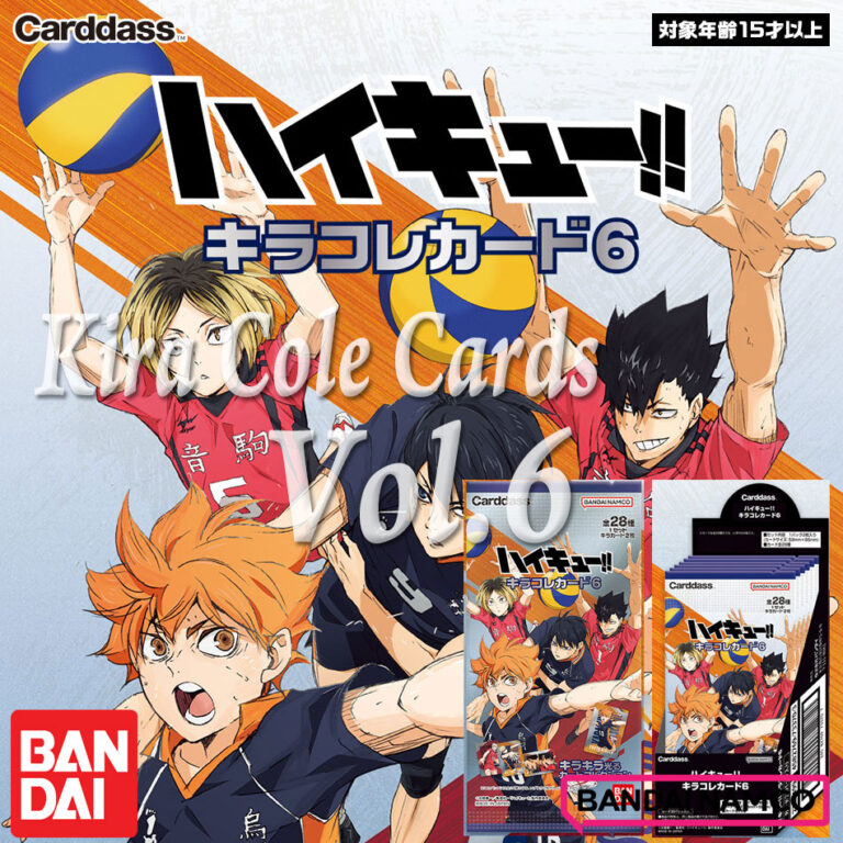 HAIKYU!! Kira Cole Card Vol.6 carddass BANDAI